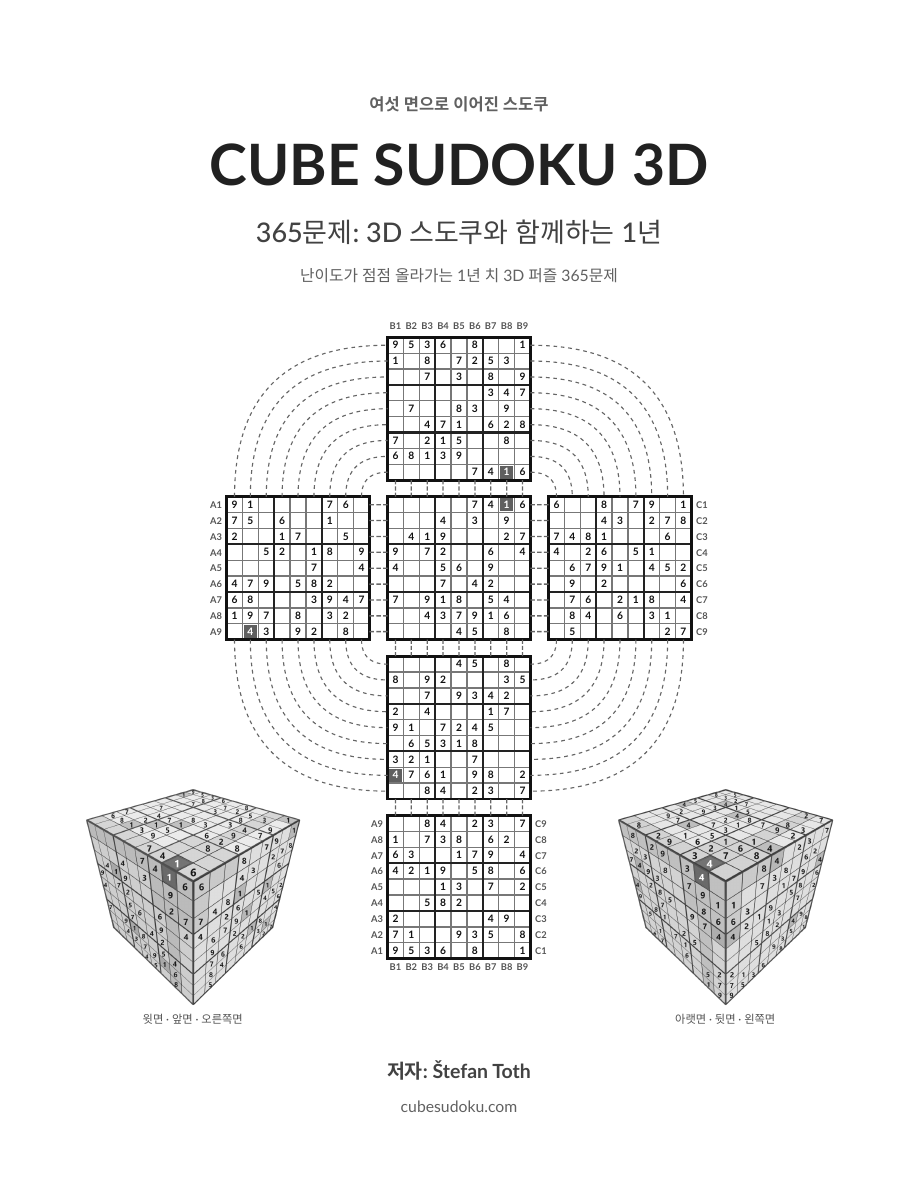 365문제: 3D 스도쿠와 함께하는 1년